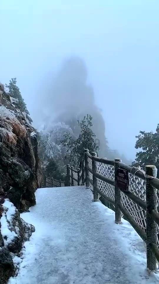 红色鹦鹉逃脱