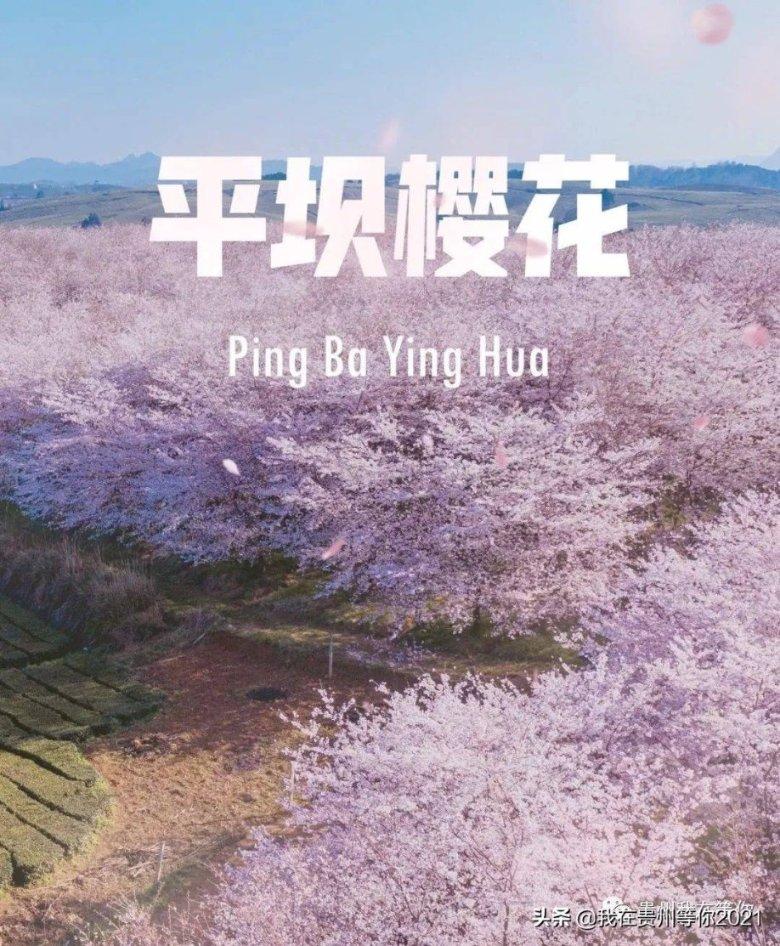你好 我的城 | 精神科的“守护天使”